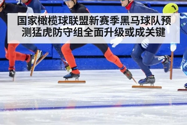 国家橄榄球联盟新赛季黑马球队预测猛虎防守组全面升级或成关键